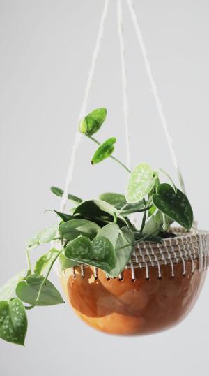savi, Salon taitokeskus, visit Salo, Hannele Ruponen, saviset sisustusruukut, savityökurssi, keramiikka, keramiikkakurssi, käsityökurssi, Onni elää käsityössä, kässäjuttuja suurella sydämellä