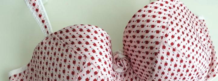 punavalkoiset liivit (kuva:Makebra)