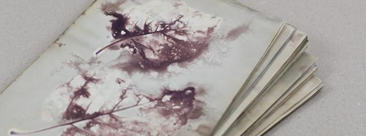 Ekoprint
