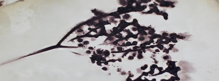 Ekoprint