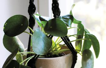 Product Slider Image
