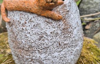 Product Slider Image